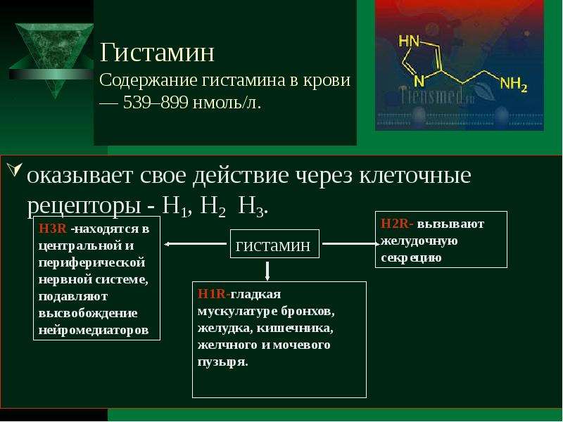 Гистамин это