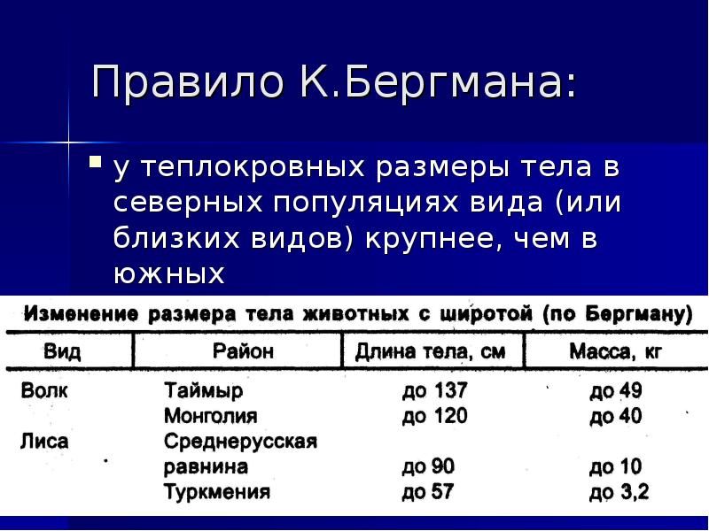 Правило бергмана презентация