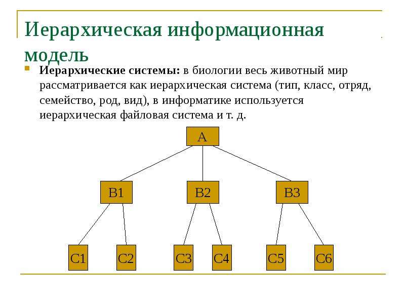 Дано изображение перед вами иерархическая система