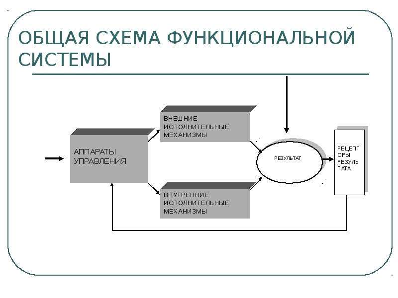 Схема речевая функциональная система