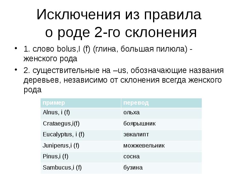 Как определить род существительного в латинском языке