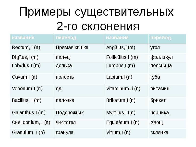 Существительные 2 го склонения