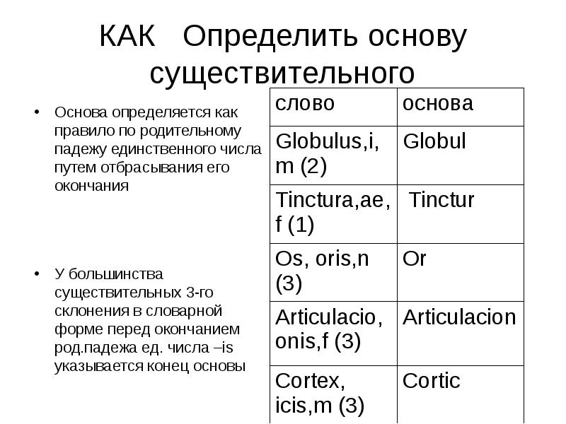 Единственное число латынь. Как определяется основа существительного в латинском. Как определить основу существительного. Определение основы существительных в латинском. Как обозначать основу существительных.