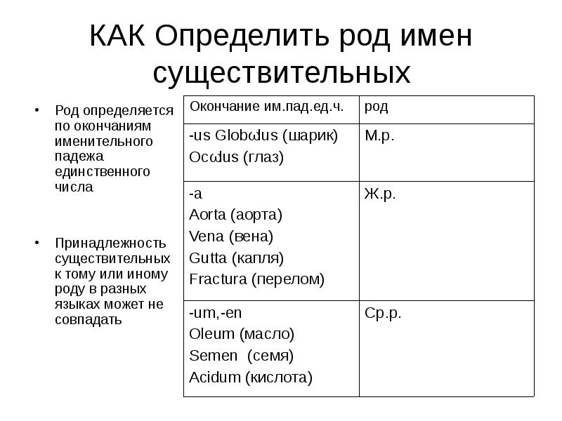 Как определить род в латинском языке