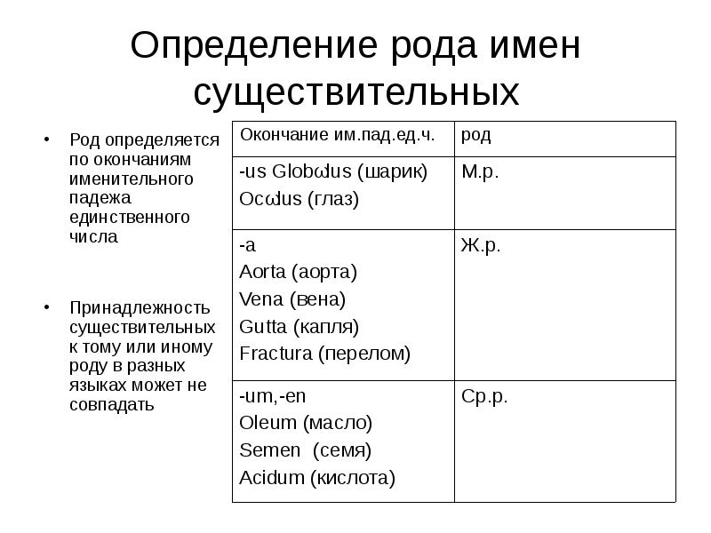 План сообщения об имени существительном