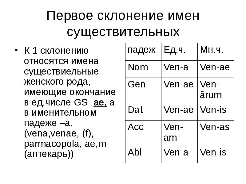 Склонение существительных в латинском