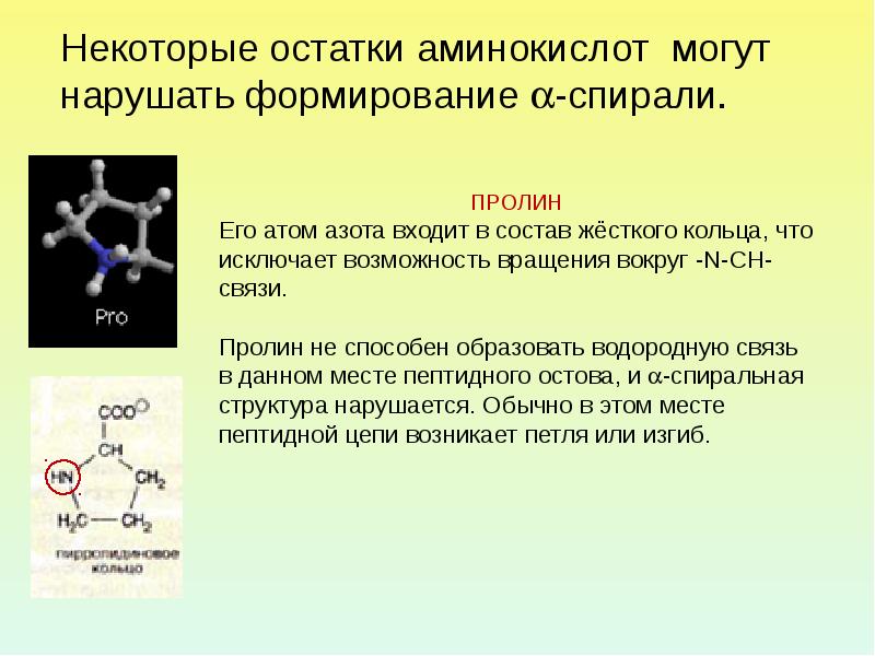 Аминокислоты и водород. Аминокислоты спираль. Препятствует образованию α -спирали аминокислотный остаток:. Α-аминокислоты. Аминокислотные остатки структура белка.