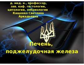 Печень, поджелудочная железа