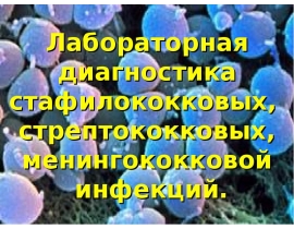 Лабораторная диагностика стафилококковых, стрептококковых, менингококковой инфекций.