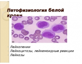 Патофизиология белой крови