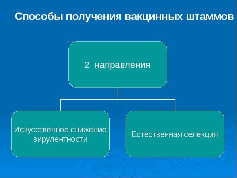 Иммунопрофилактика казакша презентация