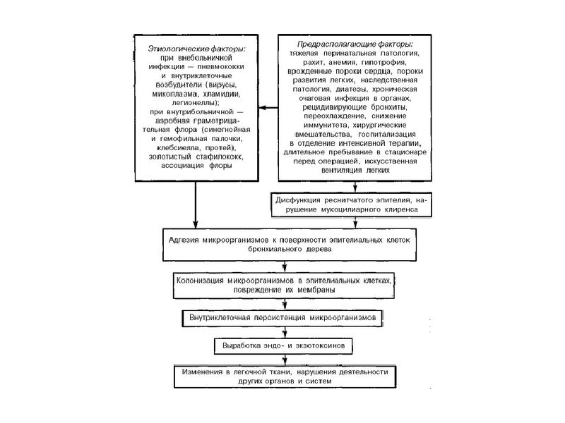 Патогенез пневмонии схема