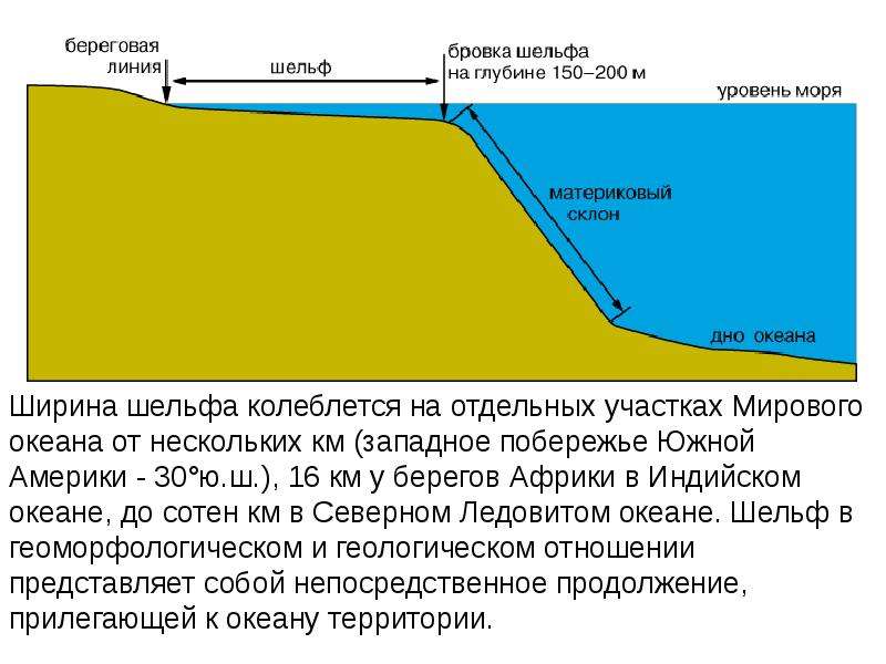 Уровень мирового океана. Средняя глубина мирового океана. Прибрежная зона моря. Литоральная зона моря. Биономические зоны моря.