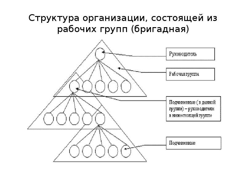 Организующая структура