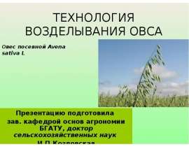 ТЕХНОЛОГИЯ ВОЗДЕЛЫВАНИЯ ОВСА