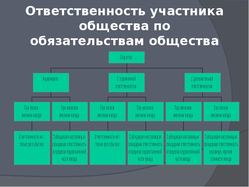 Ответственность участника общества