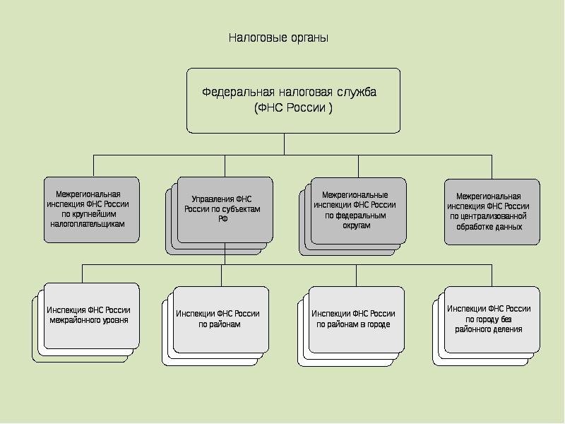 План по теме гражданин как субъект политики