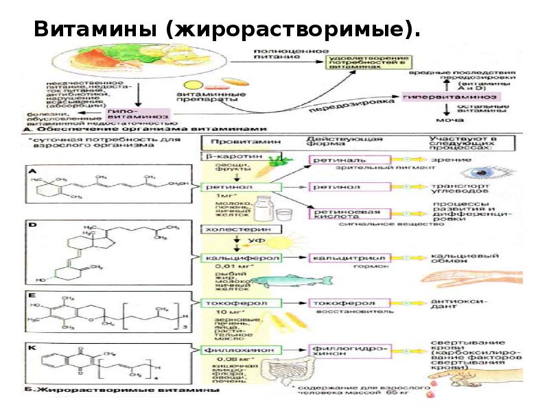 Витамин е презентация по биохимии