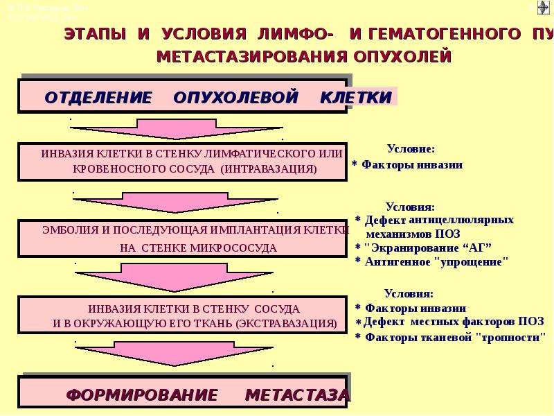 Патофизиология опухолевого роста презентация