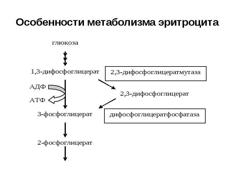 Продукт обмена веществ рыб