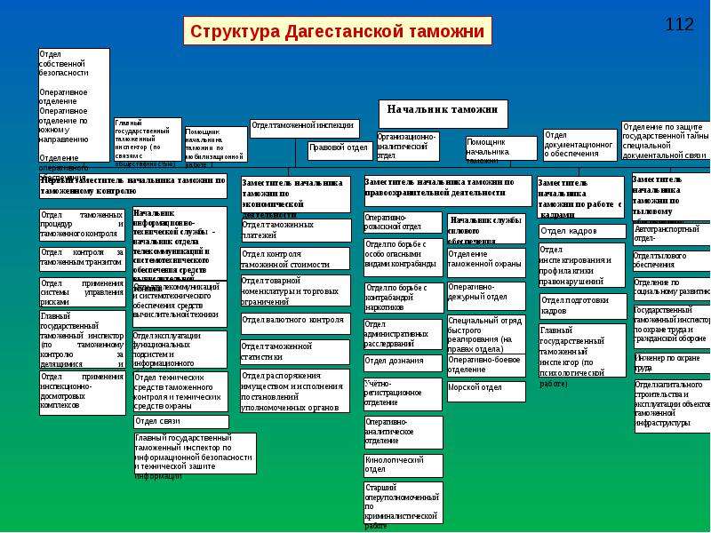 Структура таможни схема