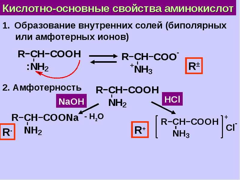 Полипептид состоит из аминокислот. Из аминокислоты в полипептид название процесса. Образование внутренних солей. Аминокислота полипептид. Полипептид формула.