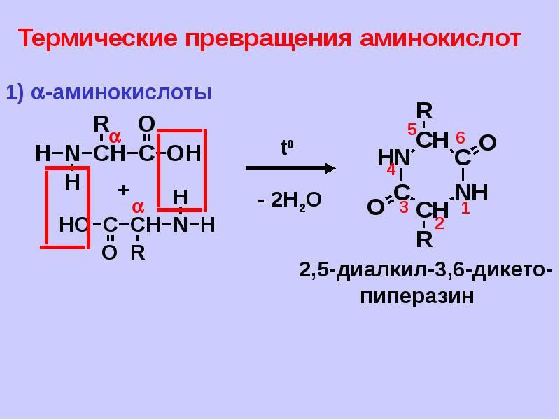 Белки это полипептиды. Образование полипептида. Аминокислота полипептид. Схема образования полипептида. Белки полипептиды аминокислоты.