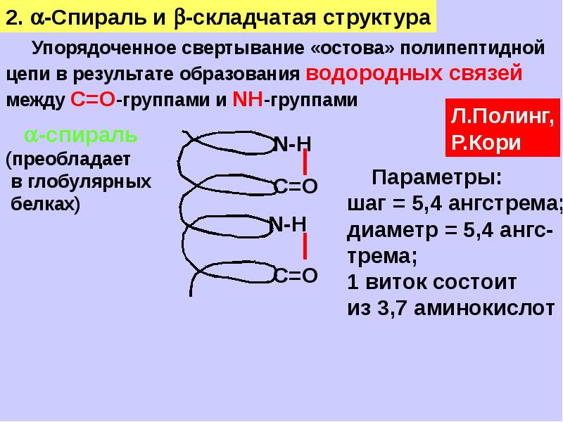 Биотехнология аминокислот презентация