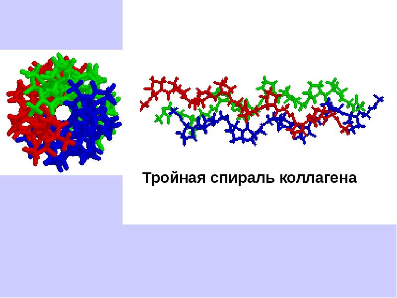 Презентация на тему аминокислоты и белки 10 класс