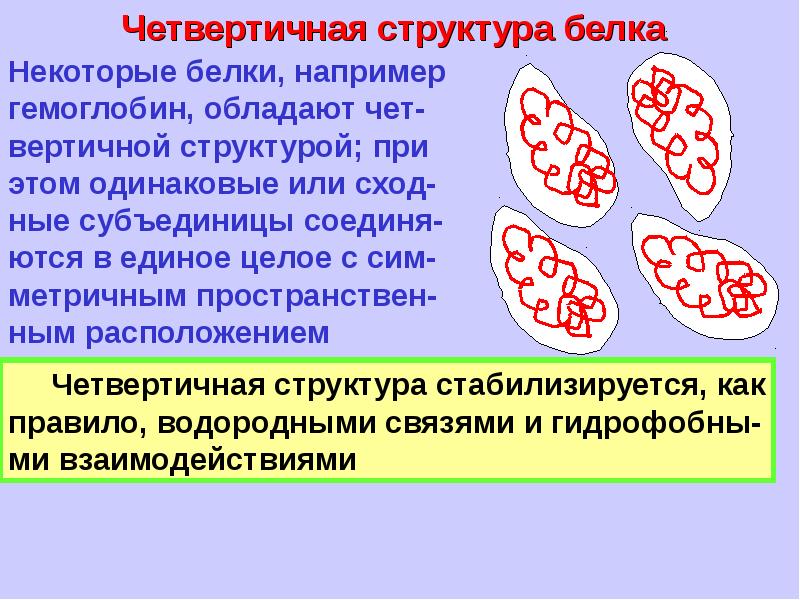 Амины аминокислоты белки презентация