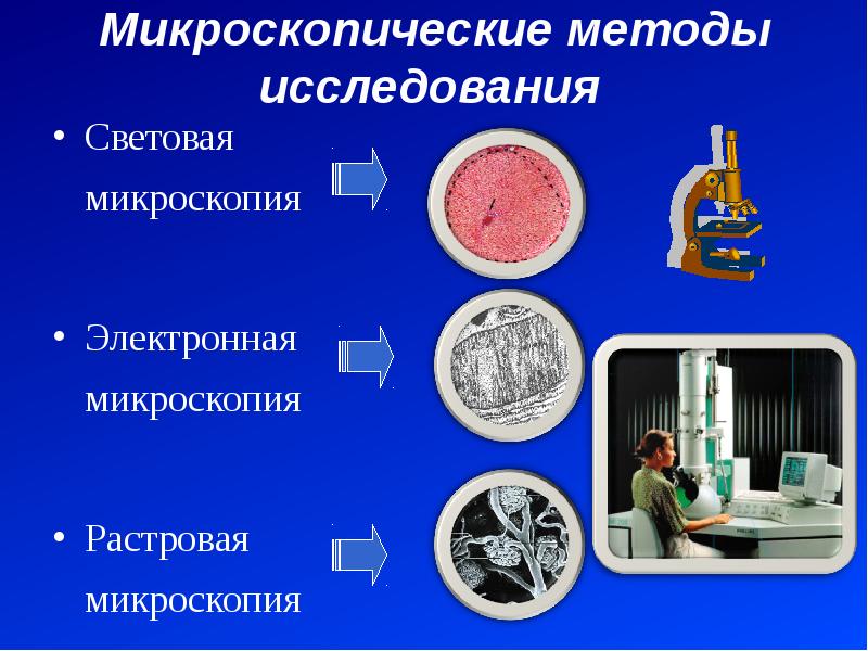 Микроскопический метод исследования в микробиологии презентация