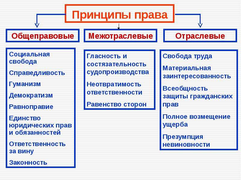 Общеправовые принципы