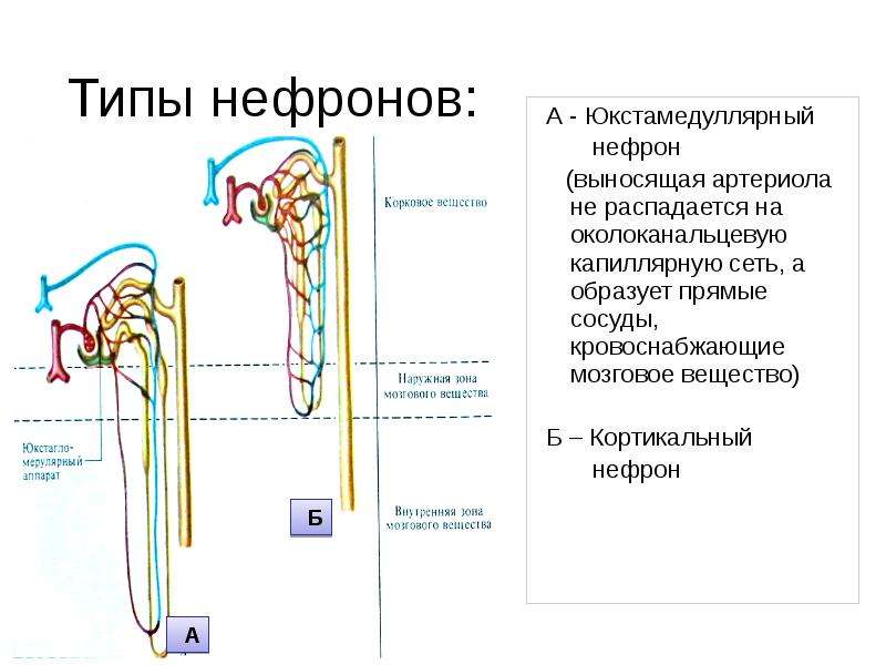 Эффекты выделения в презентации