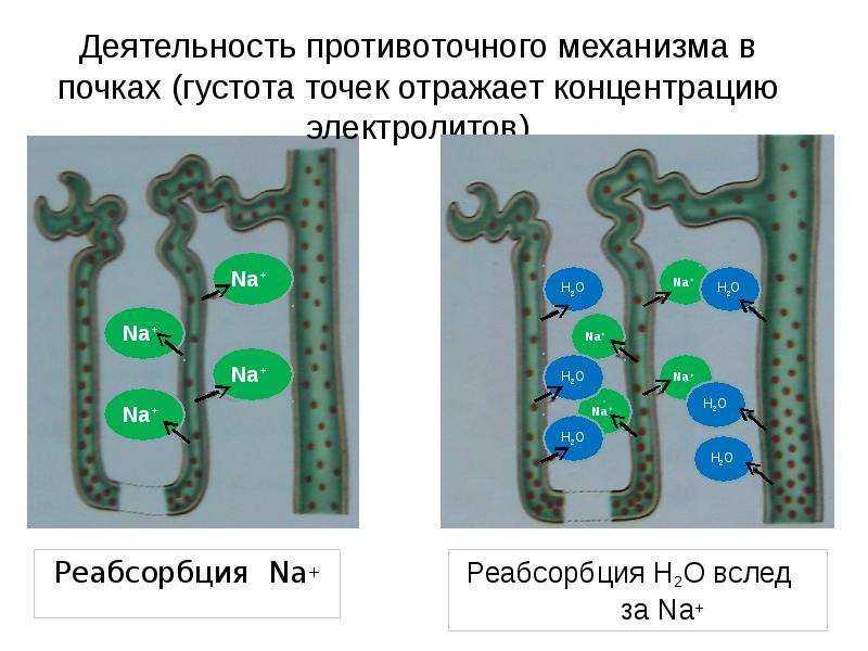 Эффекты выделения в презентации