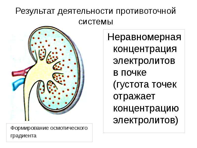 Эффекты выделения в презентации