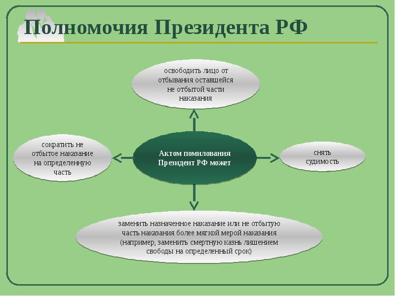 Амнистия доклад. Полномочия президента РФ помилование. Осуществление помилования пример. Полномочия президента амнистия. Президент осуществляет помилование пример.