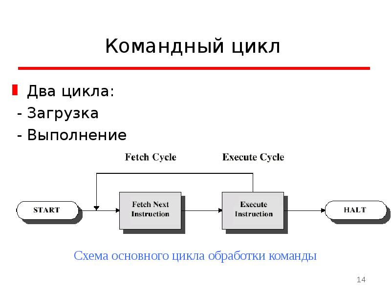 Состоит из двух циклов