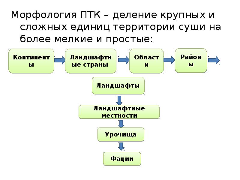 Мелкие и крупные птк