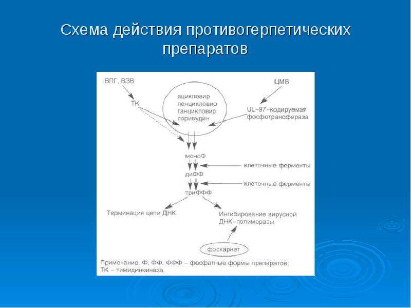 Противогерпетические препараты фармакология презентация