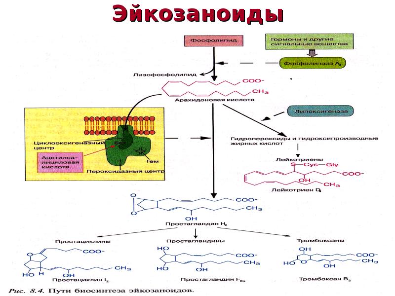 Простагландины схема синтеза