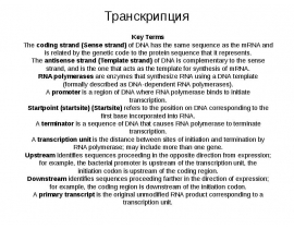 Транскрипция