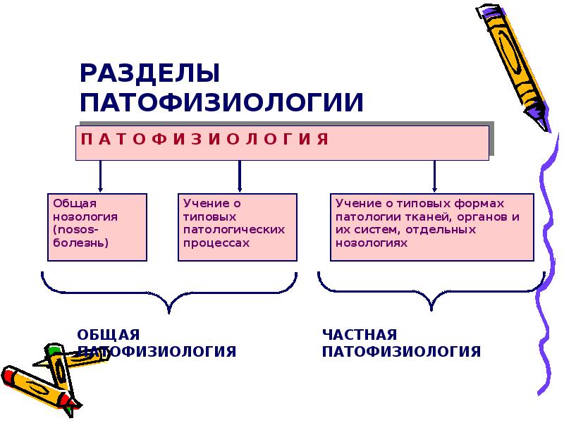 Презентация по патофизиологии