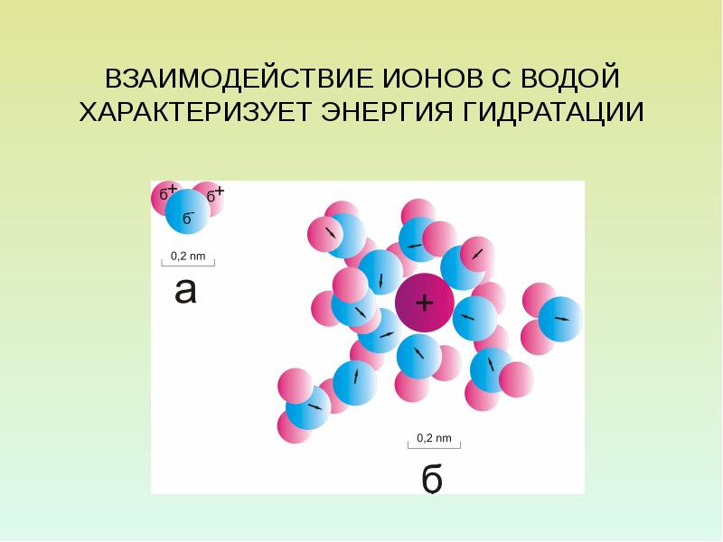 Ионы в воде. Взаимодействие ионов. Ион-ионное взаимодействие. Энергия гидратации ионов. Ионы воды.