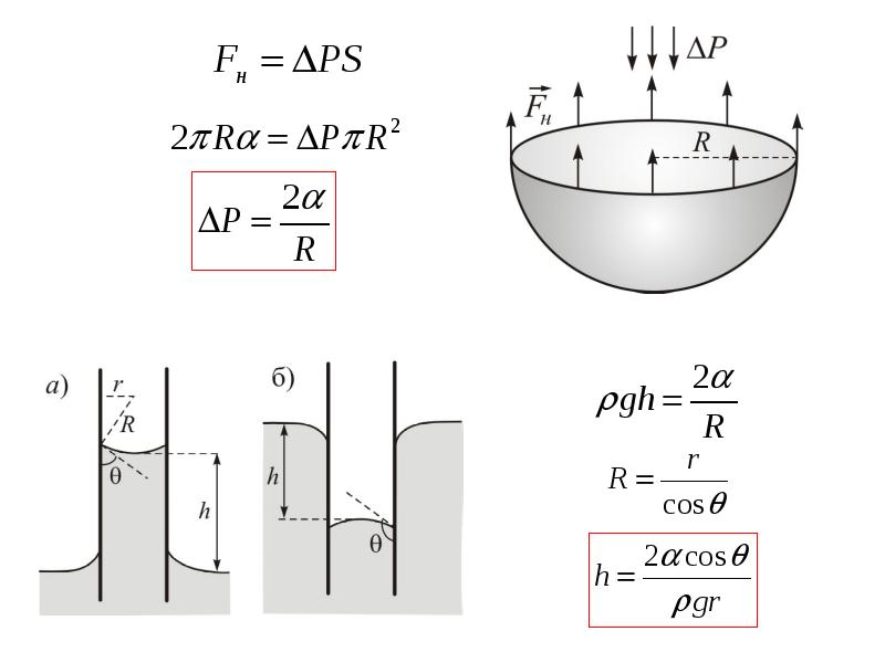 Давление поверхностного натяжения. Формула Лапласа поверхностное натяжение. Формула Лапласа физика поверхностное натяжение. Уравнение Лапласа поверхностное натяжение. Силы поверхностного натяжения формула Лапласа.