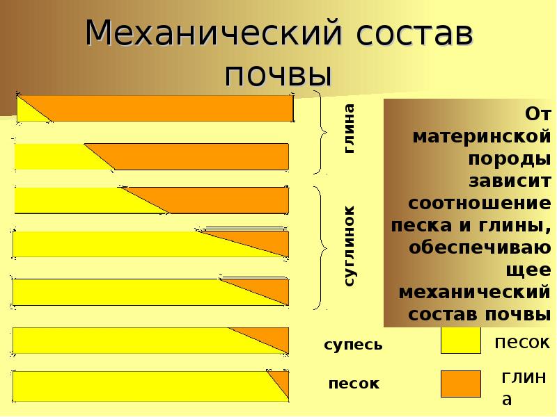 Определение механического состава почвы презентация