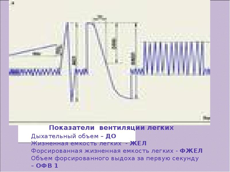 Жизненная емкость легких легочная вентиляция. Показатели вентиляции легких: легочные объемы.. Показатели вентиляция лёгкие. Параметры вентиляции легких легочные объемы. Потоковые показатели вентиляции легких..