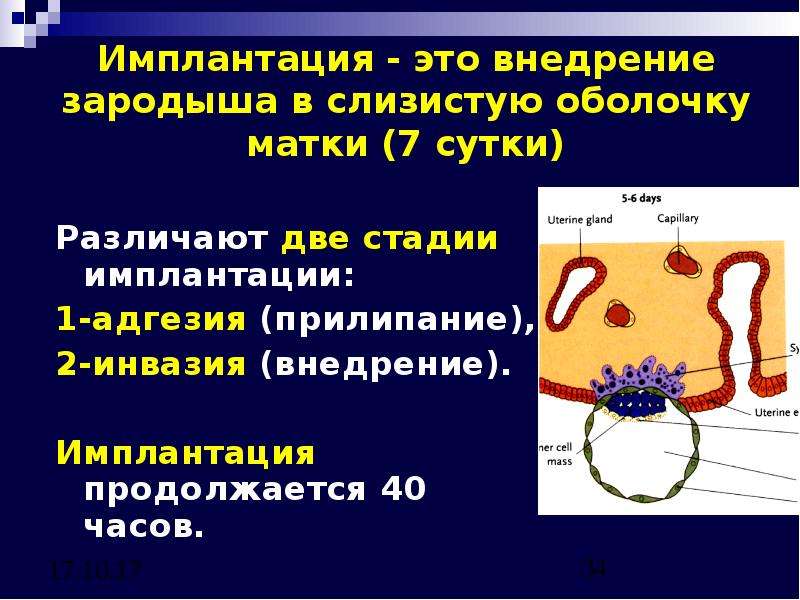 Признаки имплантации эмбриона