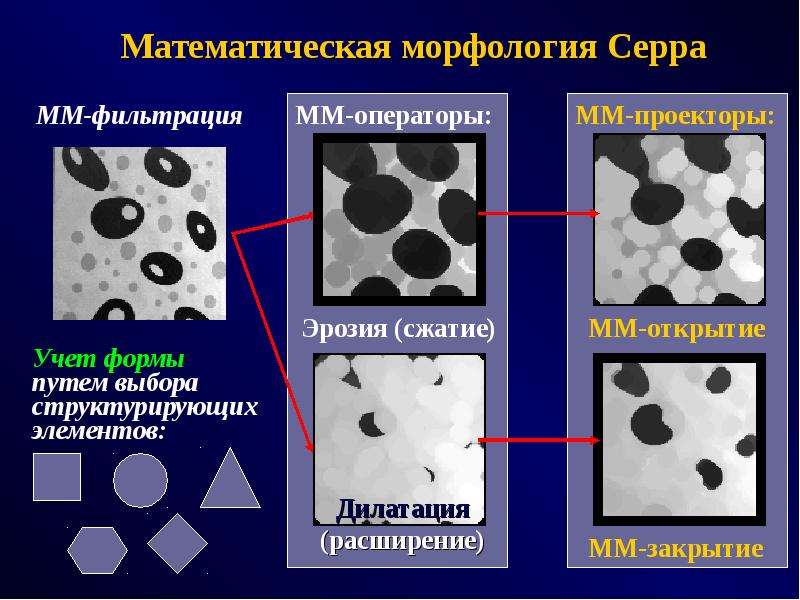 Морфология вещество