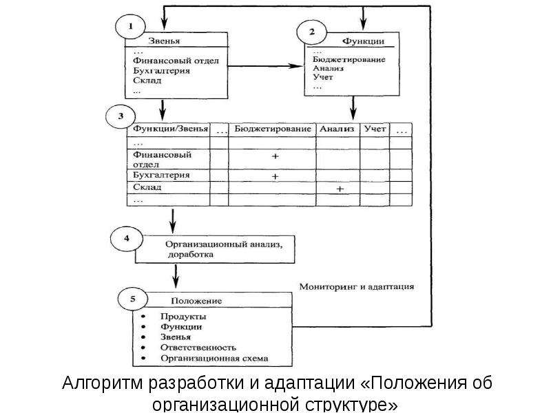 Положение об оргструктуре образец