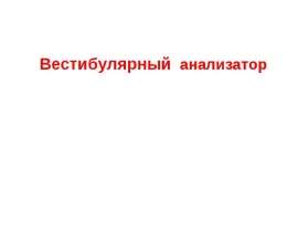 Вестибулярный анализ